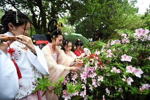 花朝节怎么来的