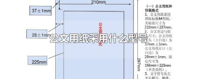 ​公文用纸采用的尺寸 公文纸应该采用什么型