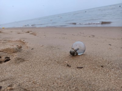 ​秦皇岛黄金海岸旅游攻略(穷游消费攻略)