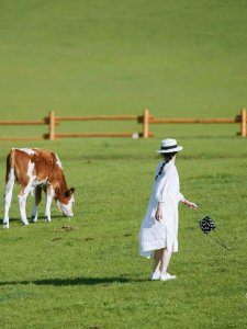 ​内蒙古新玩法，全程高效旅游攻略分享，内蒙古旅游攻略