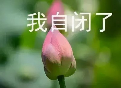 ​「我自闭了」系列表情包，是大众对自闭症的误解和隐性歧视吗？