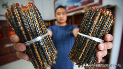 ​河南沈丘有位“蜈蚣王”将蜈蚣养殖致富道路越走越宽