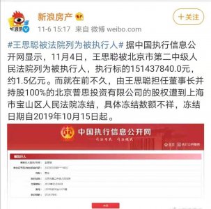 ​王思聪被列为被执行人还是失信被执行人？两者有何区别