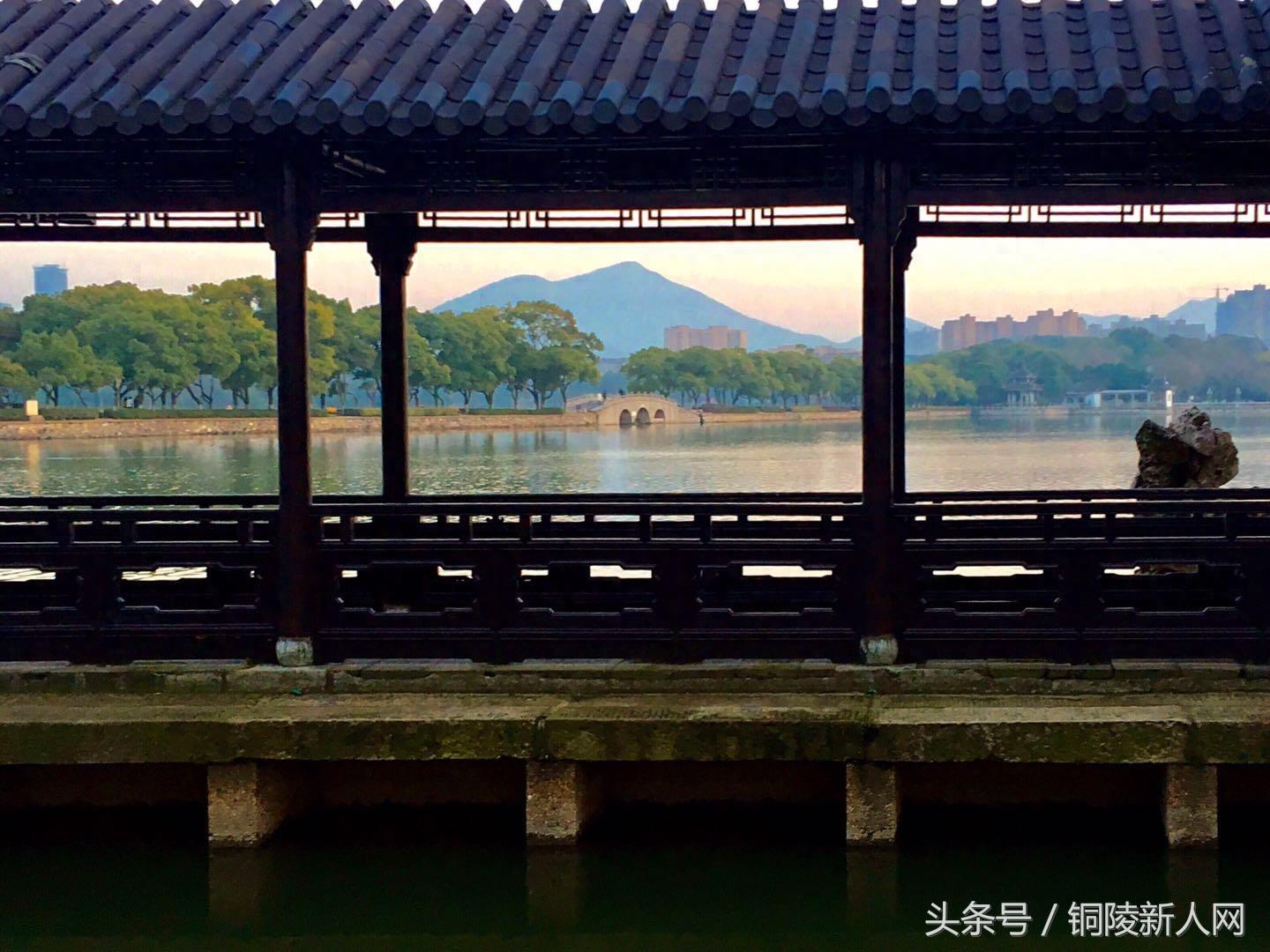 「铜陵视角」天井湖公园简介