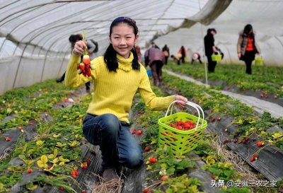 ​没钱还想返乡创业？这几点都是我多年的经验，今天分享给大家