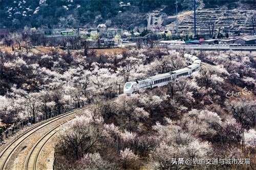 “樱花专列”——北京市郊铁路S2线