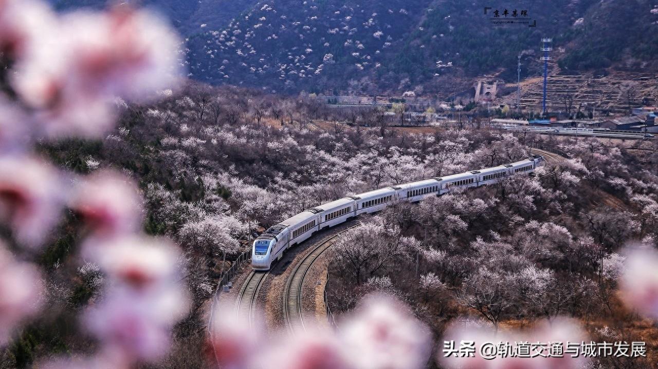 “樱花专列”——北京市郊铁路S2线