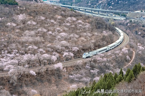 “樱花专列”——北京市郊铁路S2线