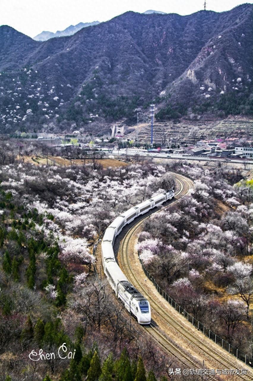 “樱花专列”——北京市郊铁路S2线