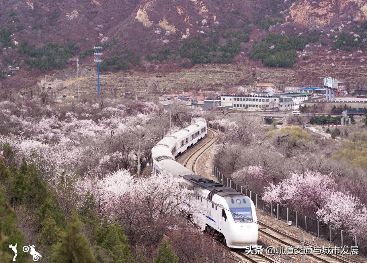 “樱花专列”——北京市郊铁路S2线