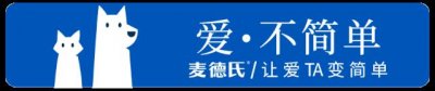 ​狗能看到灵异事件？揭秘狗狗的三大奇怪行为