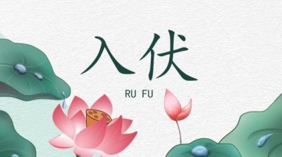 ​“夏至三庚数头伏”，什么意思？今年是哪天入头伏？